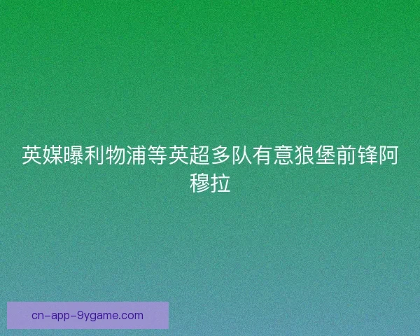 英媒曝利物浦等英超多队有意狼堡前锋阿穆拉